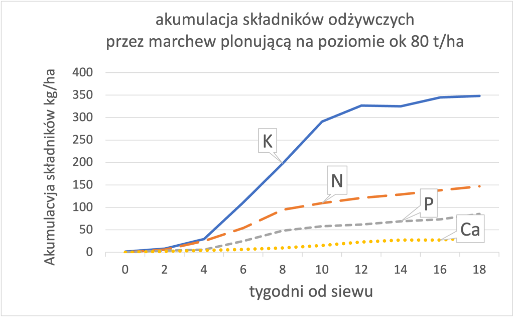 warzywa korzeniowe wykres