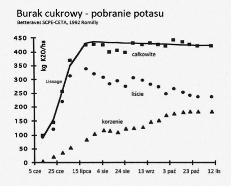 burak cukrowy wykres