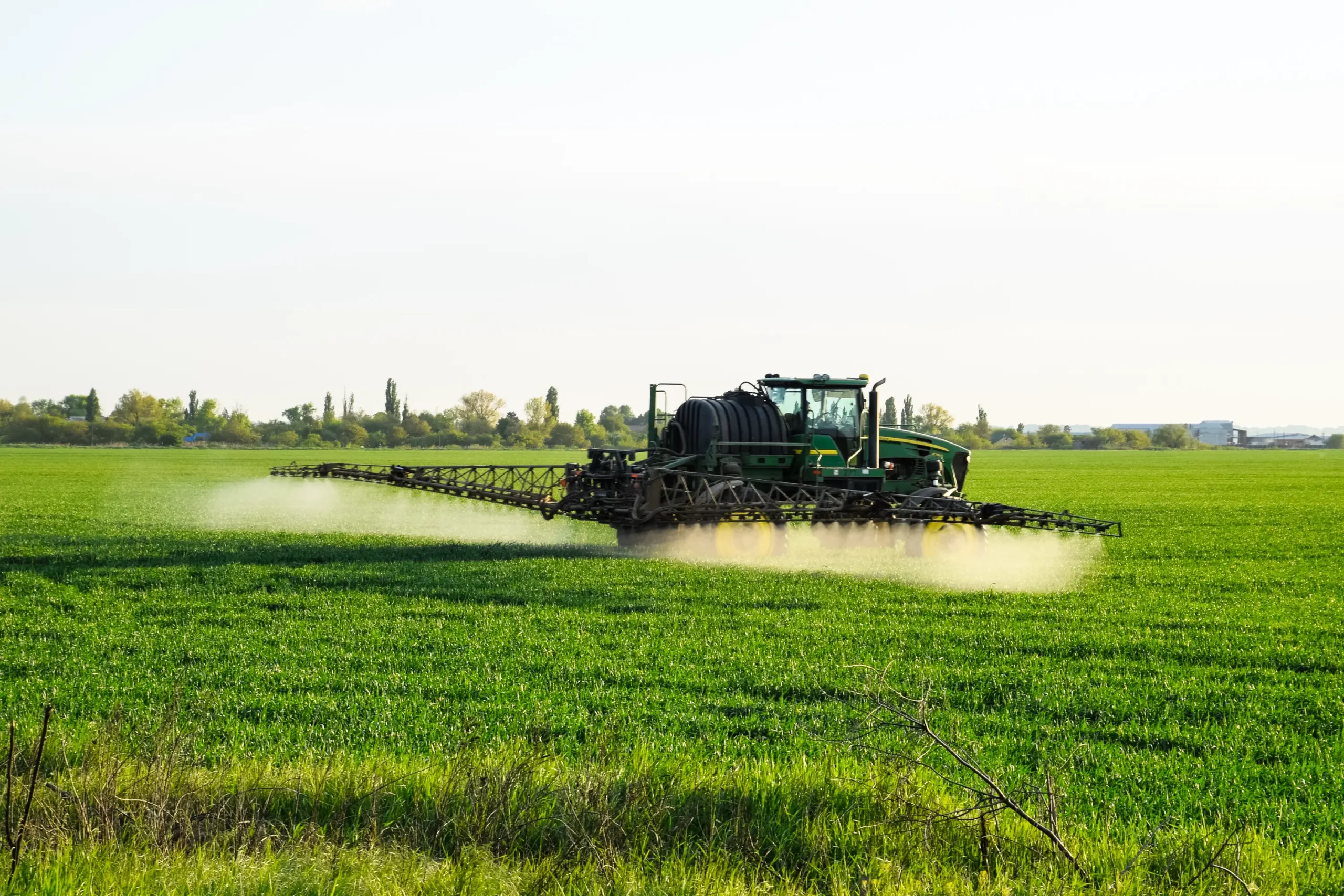 tractor with help sprayer sprays liquid fertilizers young wheat field