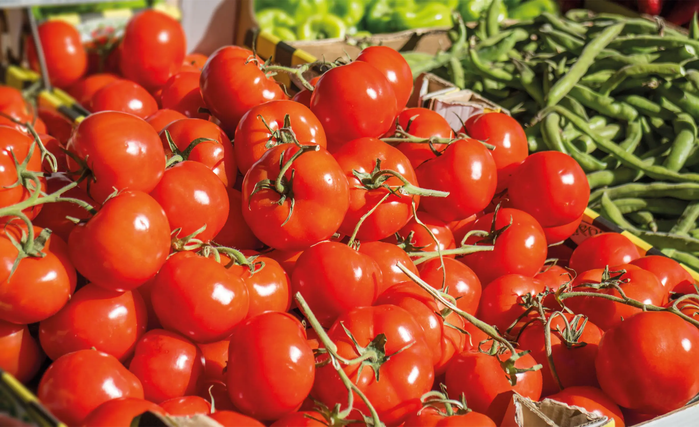 zblizenie pomidorow przeznaczonych sprzedazy na targu