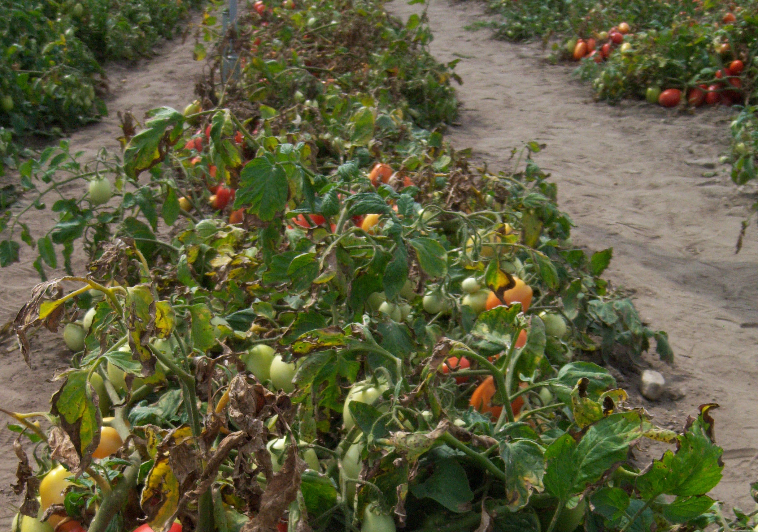 %/9cmwaku§±»ÅÏÙãí÷)3