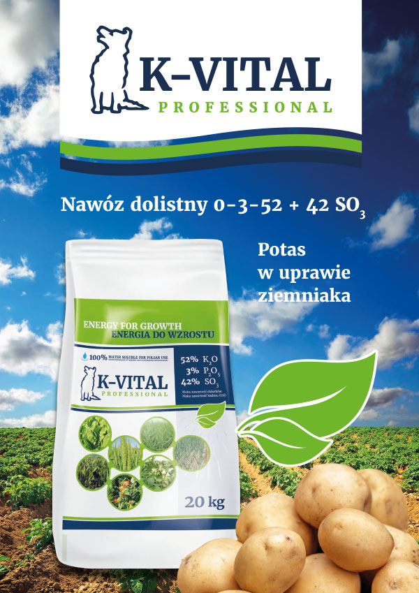 k vital ulotka ziemmniak 2xa4 web 1