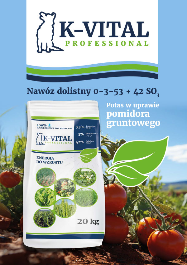 ulotka pomidor web 1