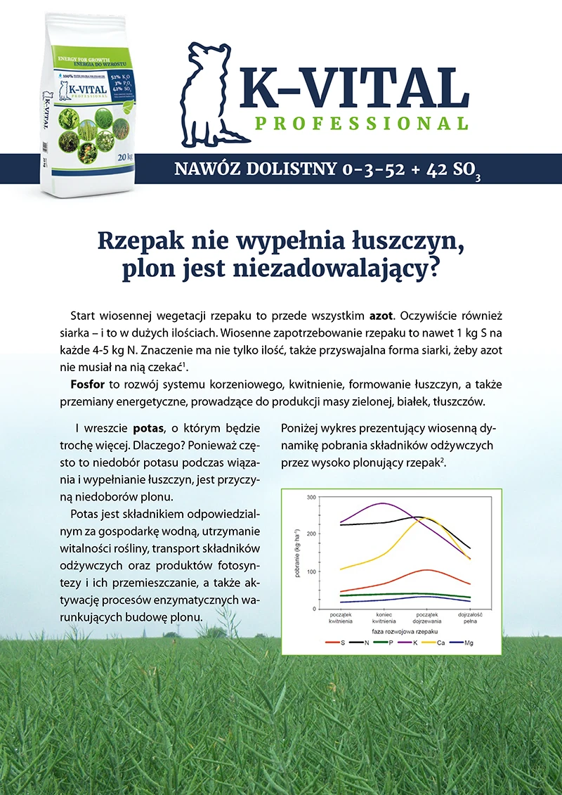Reklama nawozu K-Vital Professional w języku polskim. Strona zawiera tekst o nawożeniu rzepaku, zdjęcie produktu, logo firmy oraz wykres przedstawiający reakcję roślin na składniki odżywcze.