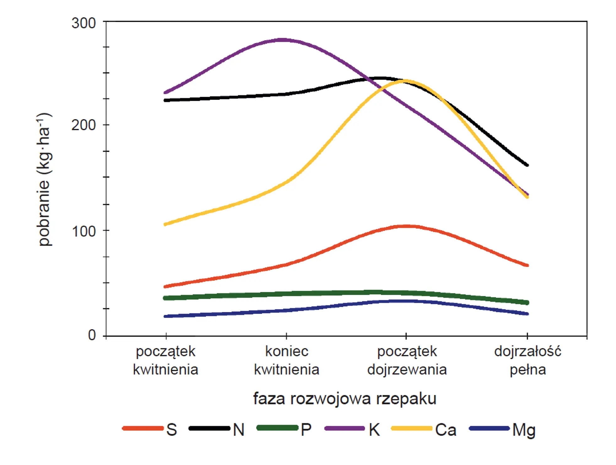 rzepak wiosenna dynamika