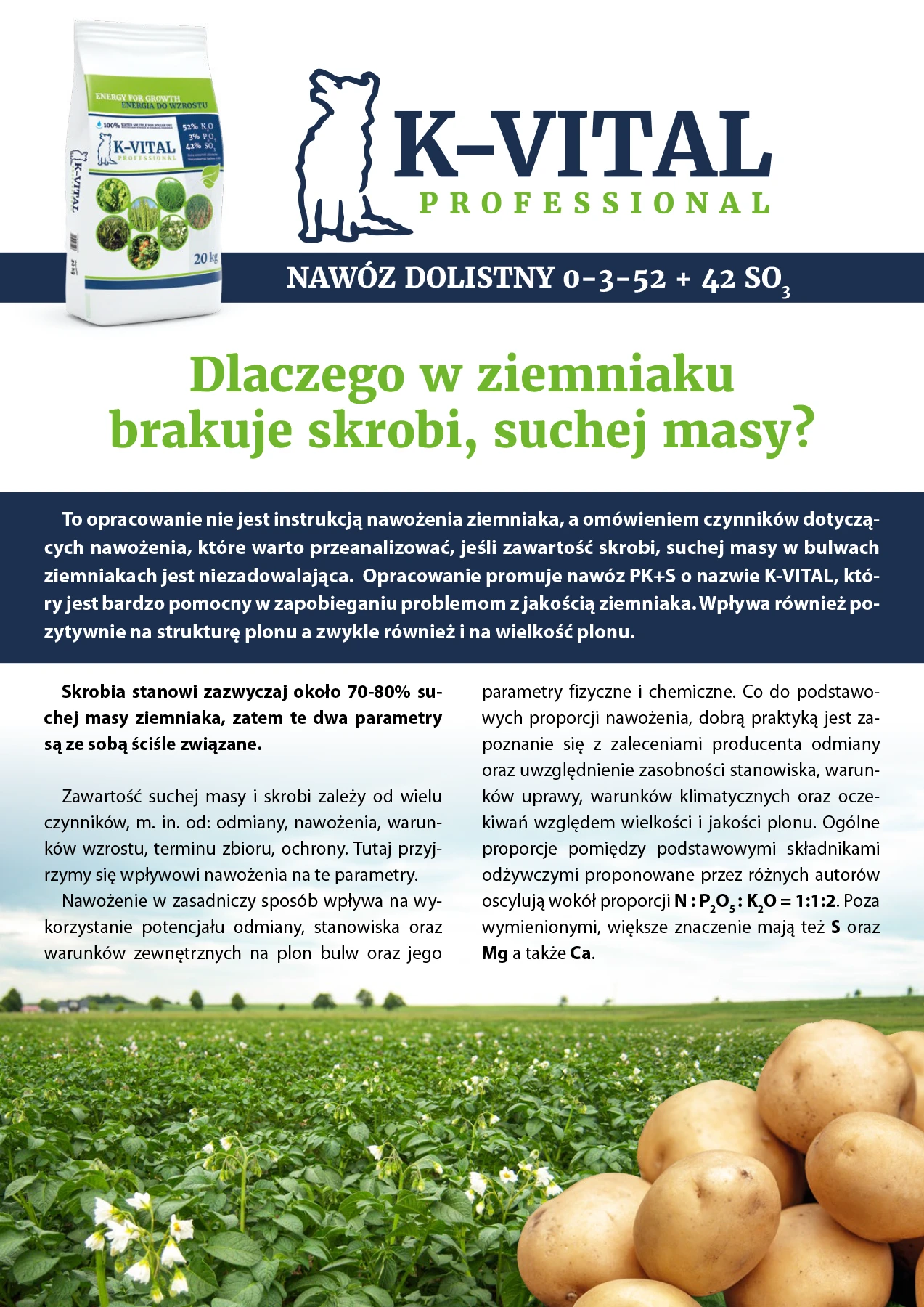 Ulotka promocyjna nawozu dolistnego K-VITAL Professional zawierająca zdjęcie produktu, logo firmy i artykuł na temat niedoborów składników odżywczych w ziemniakach, koncentrujący się na utracie skrobi i suchej masy, z tekstem i zdjęciami ziemniaków i zielonych liści.